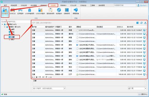 實時電腦監控與計算機軟件開發 工具、技術與應用